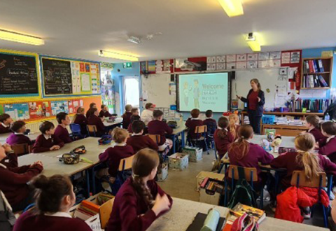 Why Irish Schools need Internet Safety Trainers Now?